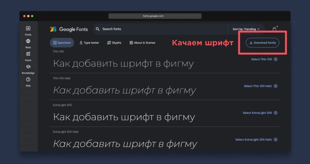 скачать шрифт с google fonts